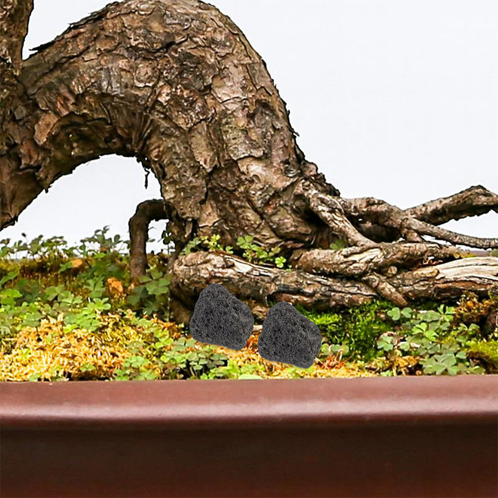 Aquarium Planted Tank Filter - Visaquarium vulkanische rotsen natuurlijke kleine stenen