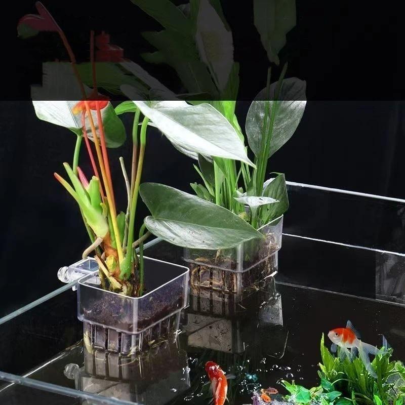 Transparante hangende hydropon - Aquarium Plant Easy To Grow recensie en prijs
