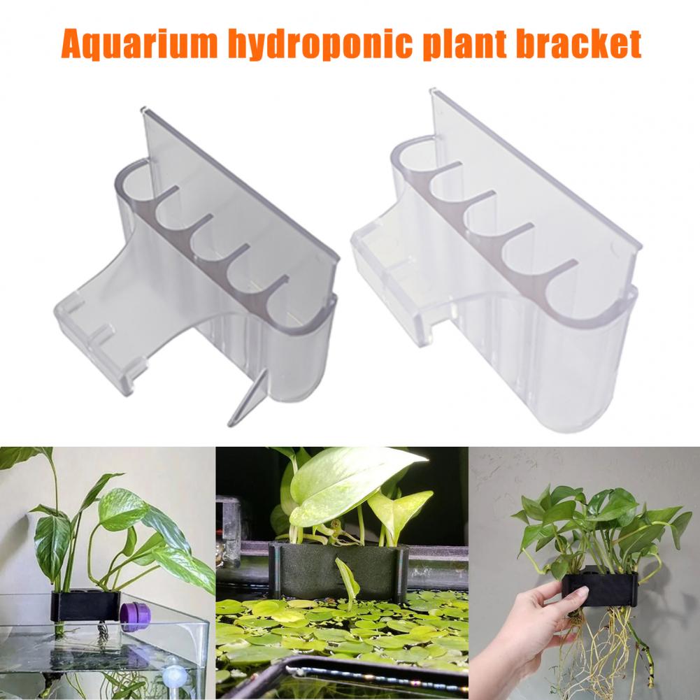 4.5/6.5 Cm Aquarium Plant Houd - Planted Aquarium With Fish recensie en prijs