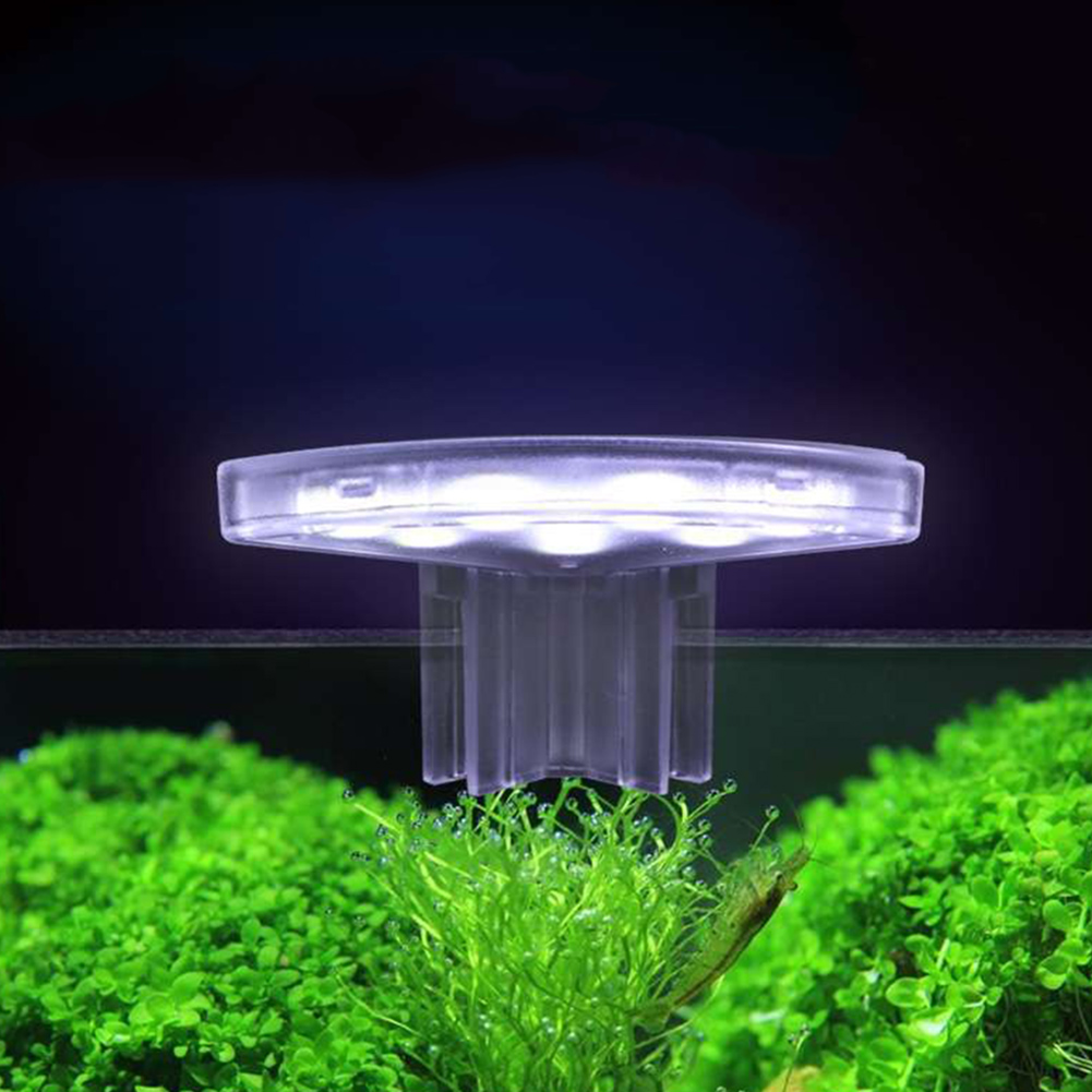 LED Plantengroeilamp Energiezu - Aquarium Plant Easy To Grow recensie en prijs