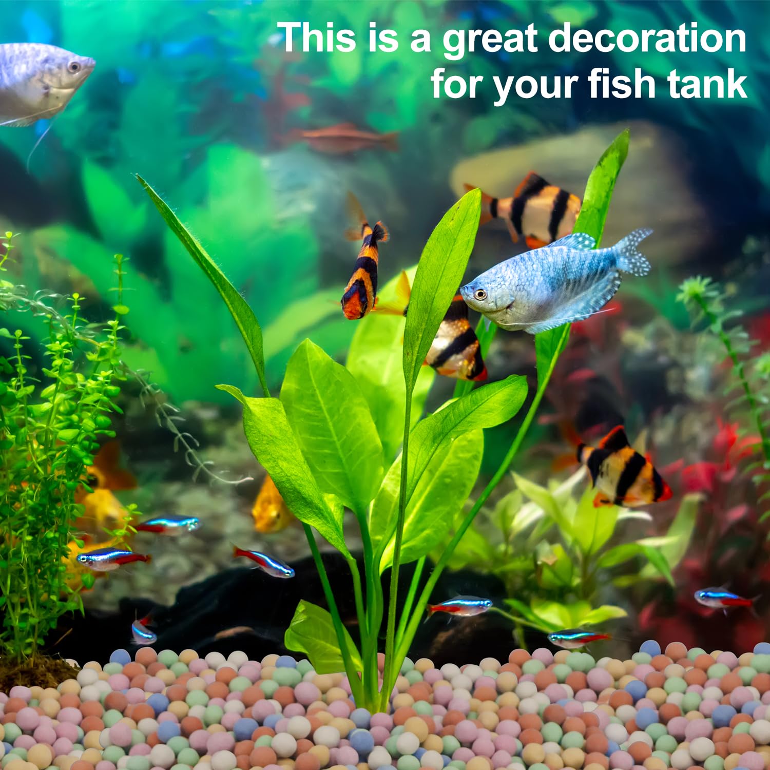 Hydrocultuur Plant Decoratieve - Aquarium Plant Vitamins recensie en prijs