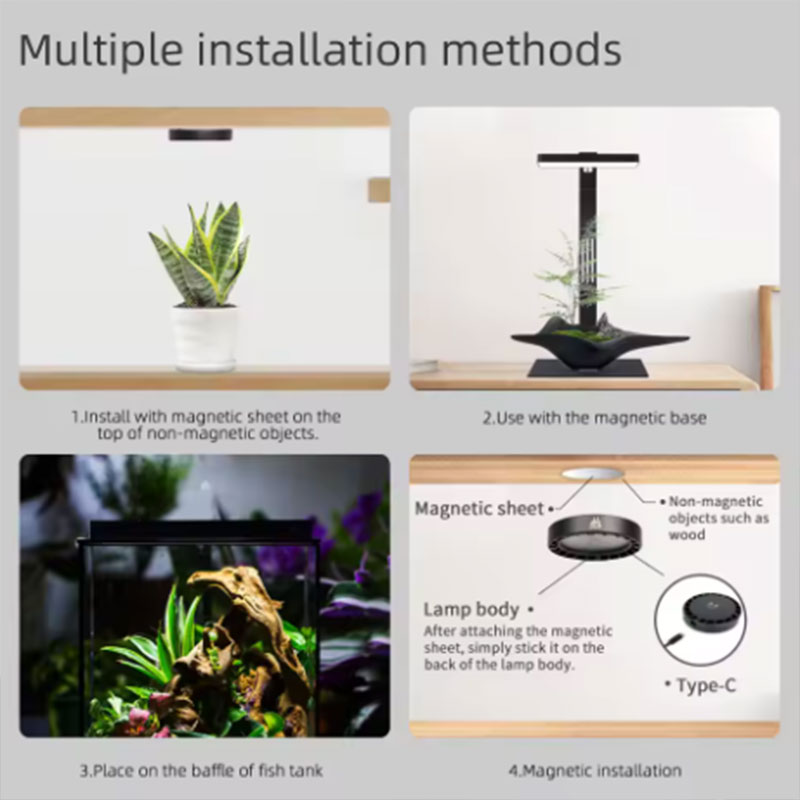 WEEK AQUA Mag Pro Mag Max Nano - Aquarium Plant Iron recensie en prijs