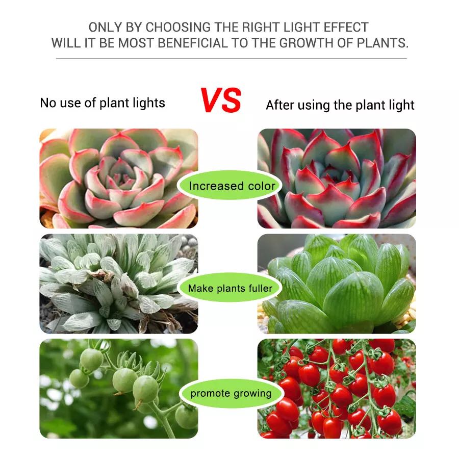 LED Strips 5V Grow Led Bloem A - Planted Aquarium Hours recensie en prijs