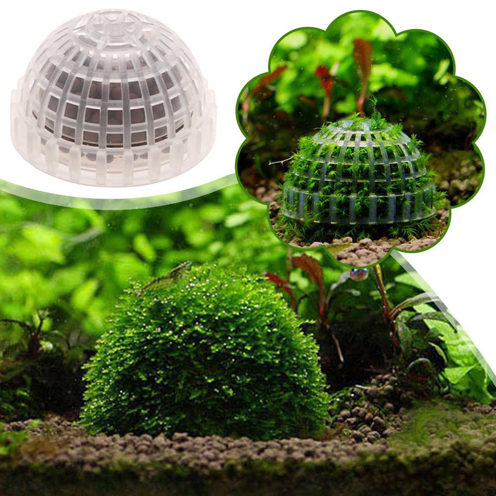 1/2/3/4/5PCS Aquarium Decorati - Aquarium Planted Tank Filter recensie en prijs