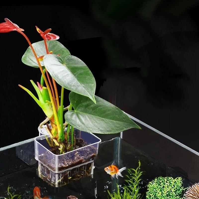 Doorzichtige ophangbare aquari - Aquarium Plant Easy To Grow recensie en prijs