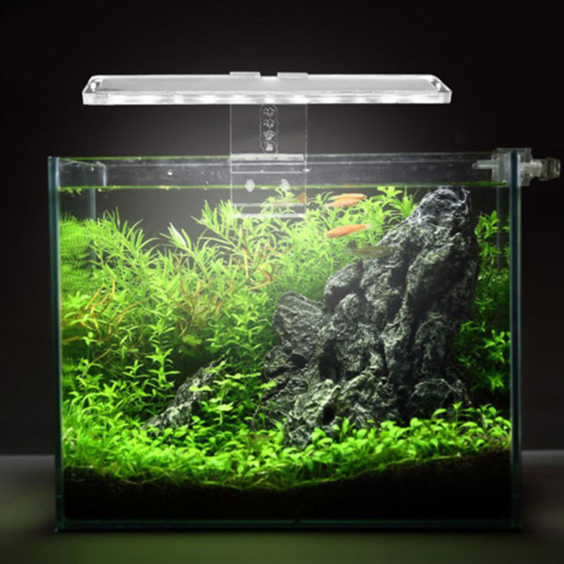 Led Aquarium Lamp Plantaardige - Planted Aquarium Price recensie en prijs