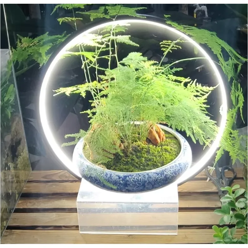 Desktop LED aquariumlamp voor  - Planted Aquarium Hours recensie en prijs