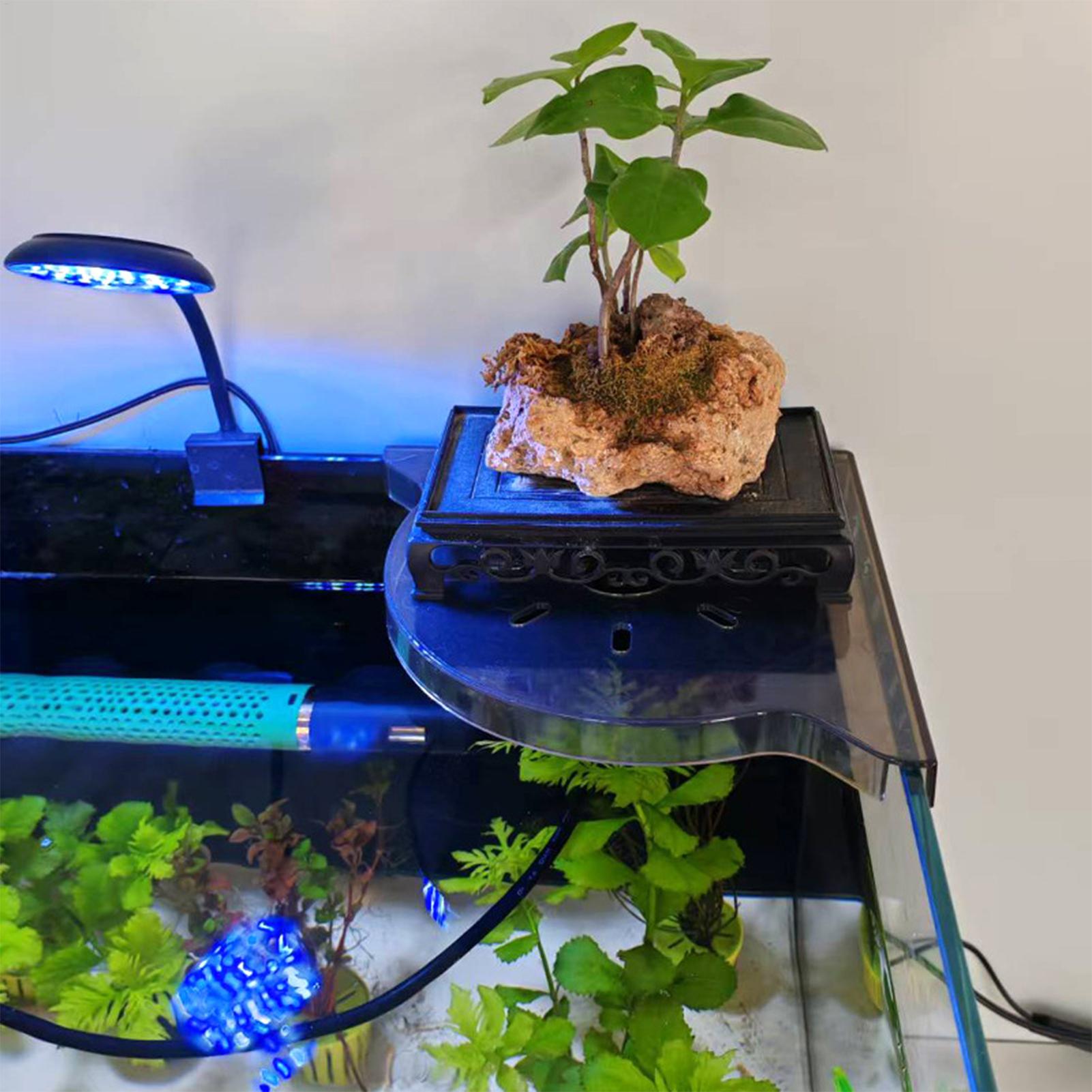 Driehoekig aquarium hoekopberg - Planted Aquarium With Fish recensie en prijs