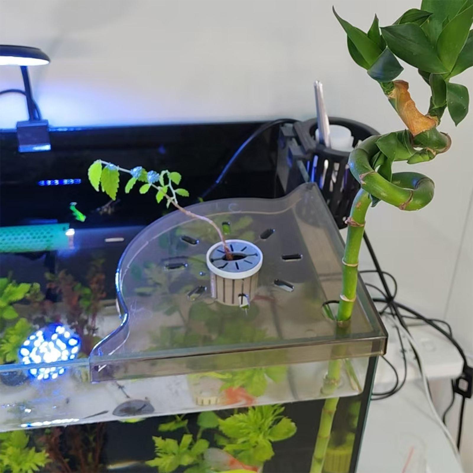 Driehoekig aquarium hoekopberg - Planted Aquarium With Fish recensie en prijs