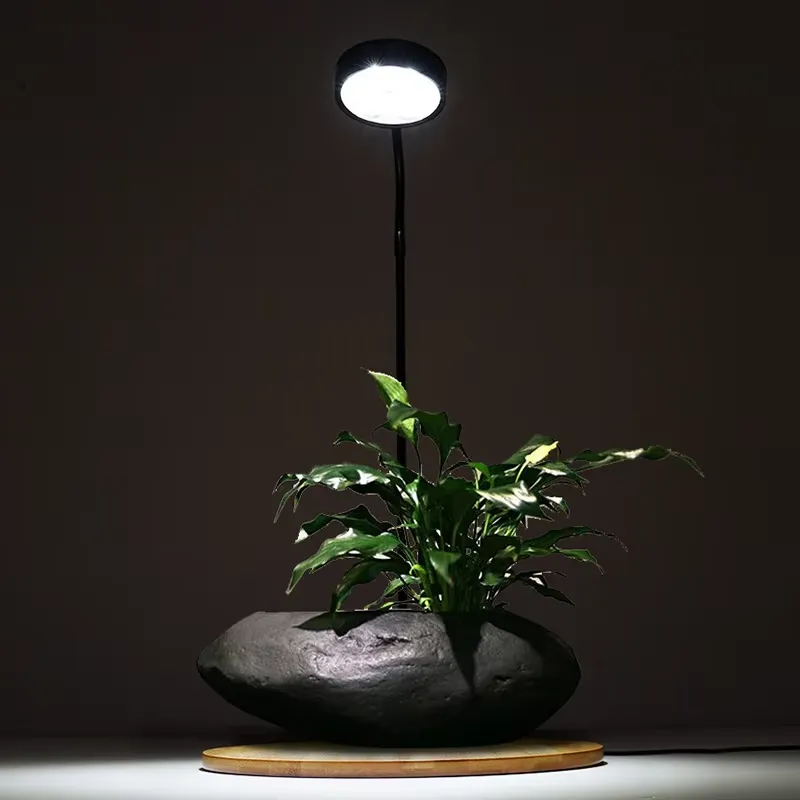 Desktopdecoratie Timer Visbakl - Planted Aquarium Hours recensie en prijs