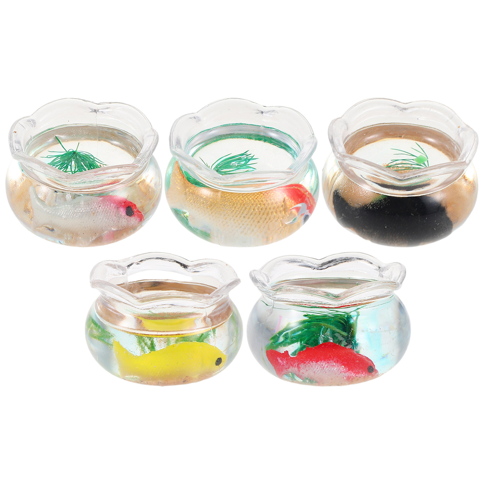 5-delige mini-viskom, kleine r - Planted Aquarium With Fish recensie en prijs